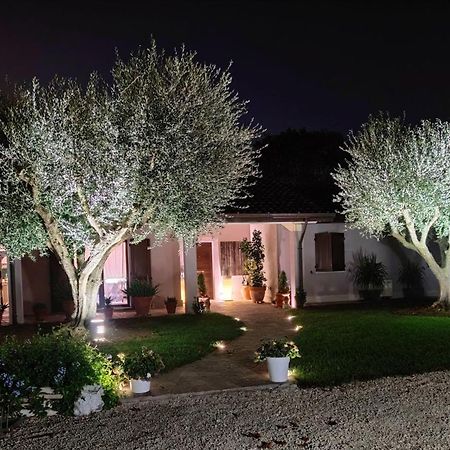 B&B Flavio E Catia Marotta Bagian luar foto