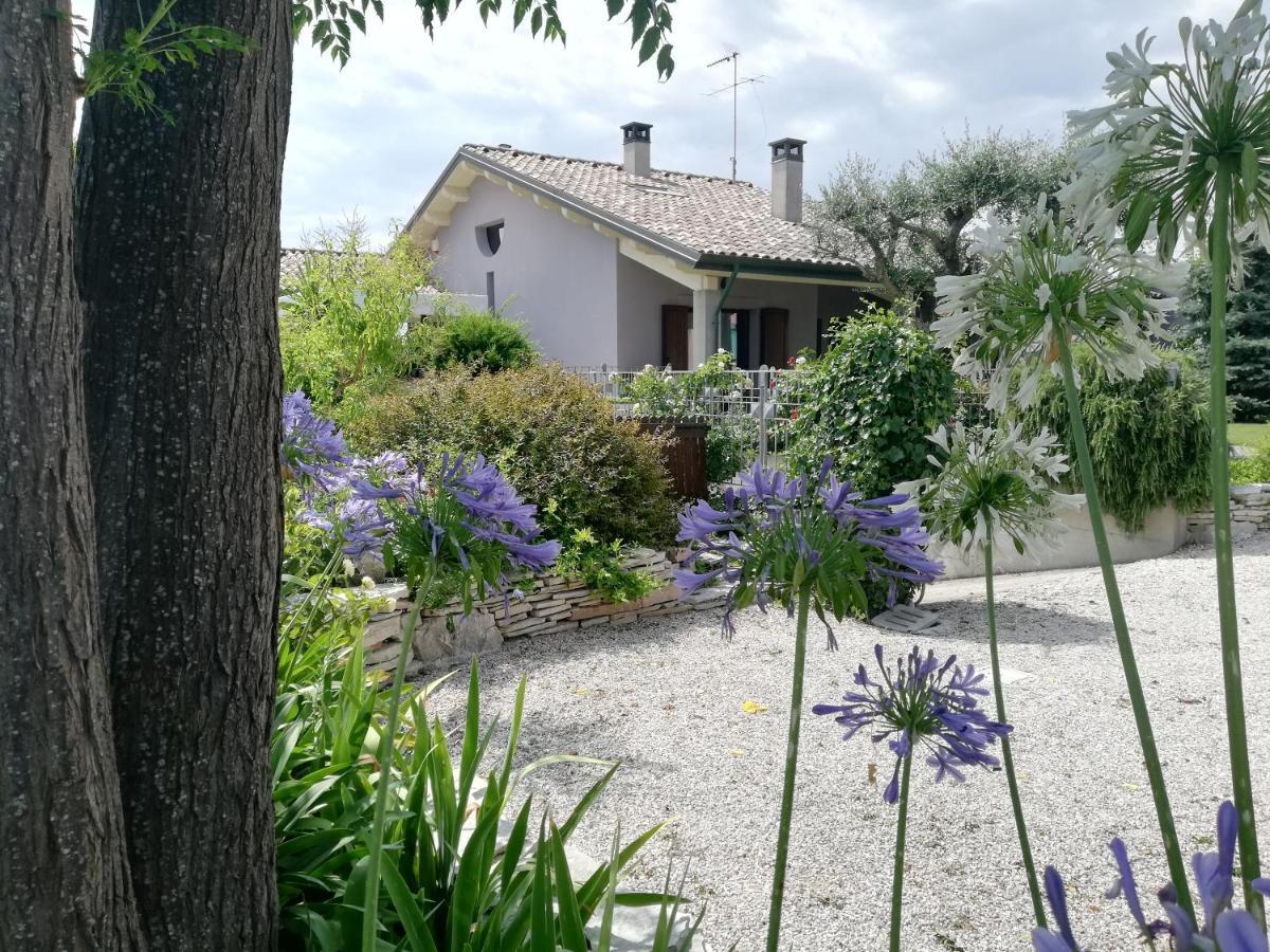 B&B Flavio E Catia Marotta Bagian luar foto