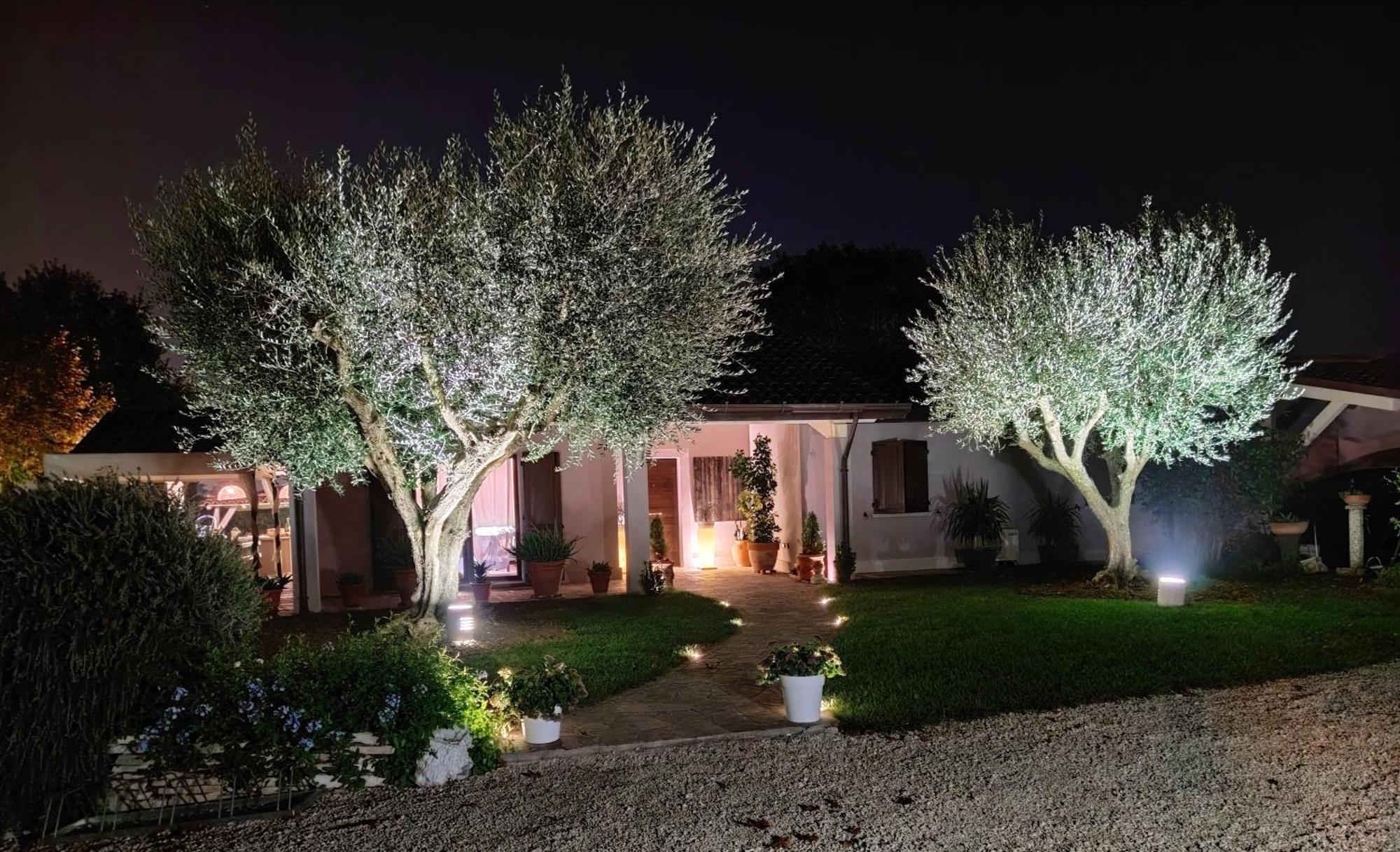 B&B Flavio E Catia Marotta Bagian luar foto