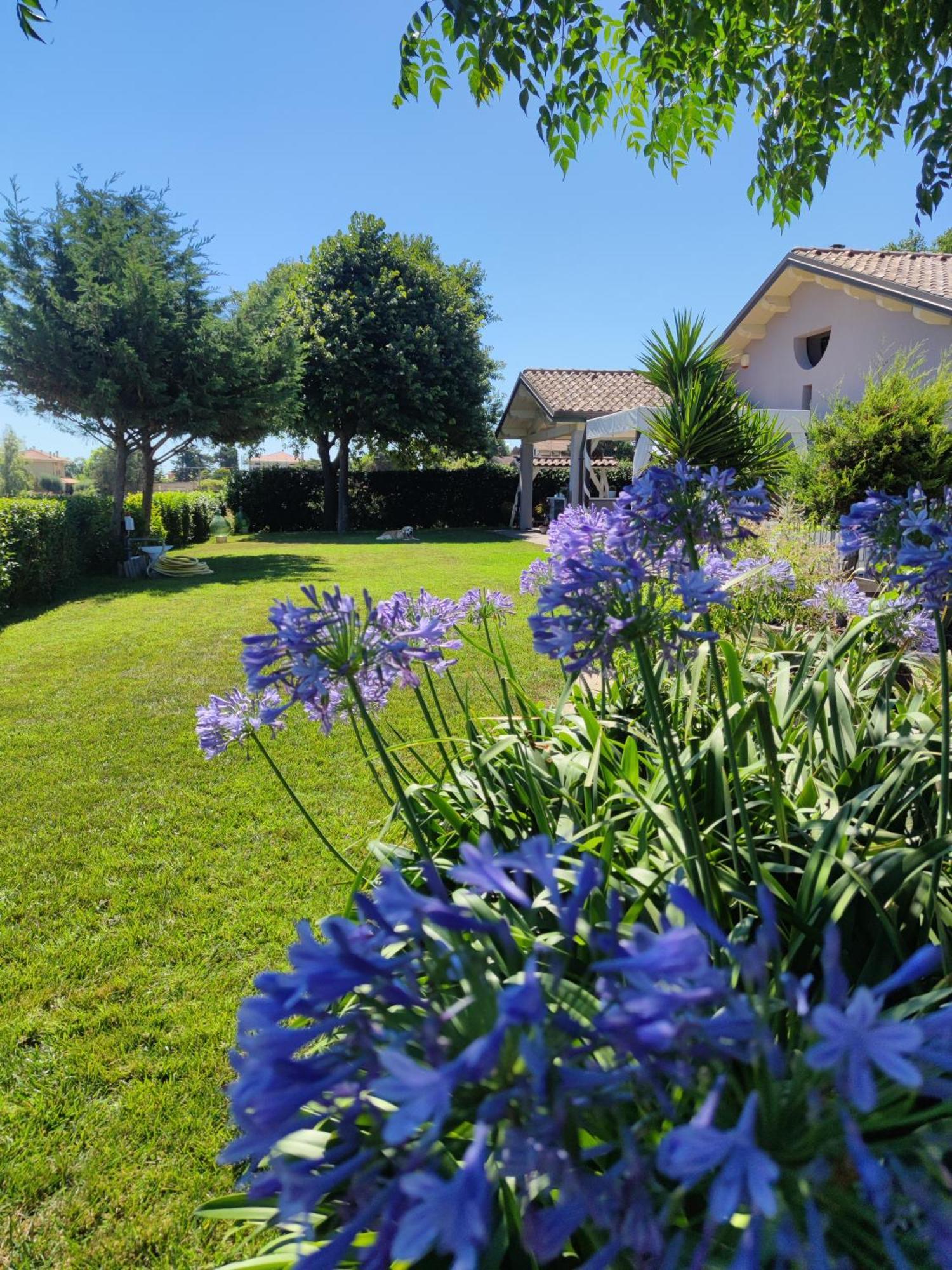 B&B Flavio E Catia Marotta Bagian luar foto